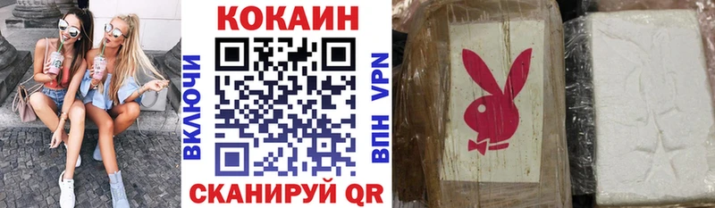 Купить закладки  Лесозаводск  COCAIN Эквадор 