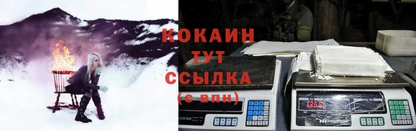 дживик Майский